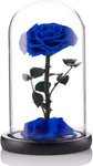 Preserved Real Rose Eternal Rose in Glass Dome Gift for Her Thanksgiving Christmas Valentine'S Day Birthday Mother'S Day (Blue, Large)
